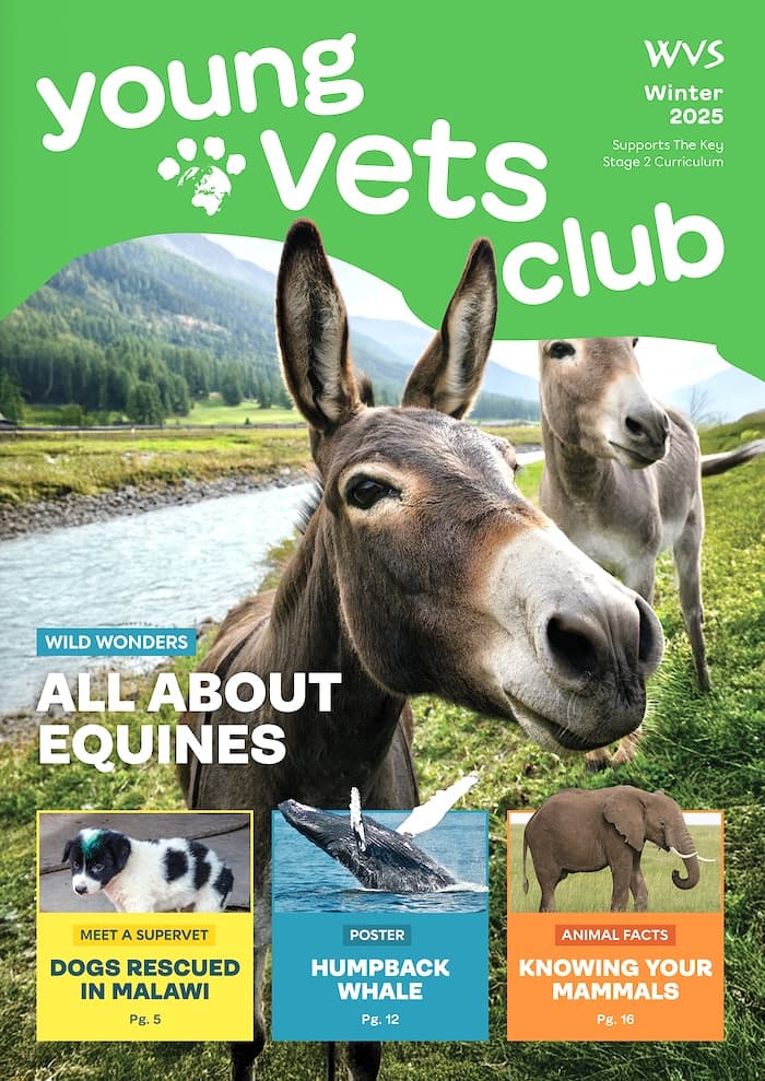 Cover of the latest YVC magazine